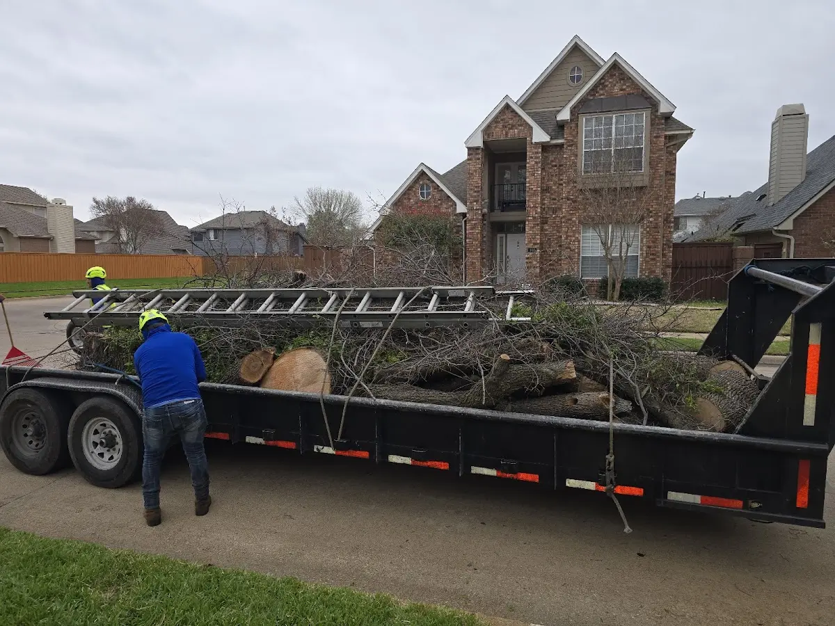 Expert Tree Removal with proper safety equipment in Barstow